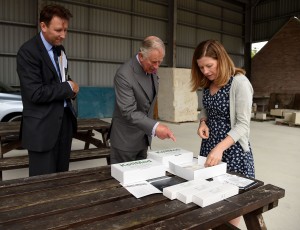 Kellmed 13.05.16 (2)